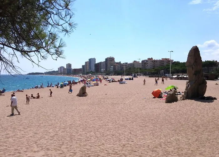 Eslora - Playa De Aro * Platja d'Aro